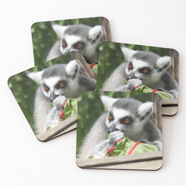 Item preview, Ring Tailed Lemur  designed and sold by aquabella.