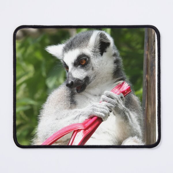 Item preview, Ring Tailed Lemur designed and sold by aquabella.