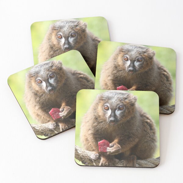 Item preview, Red Bellied Lemur designed and sold by aquabella.