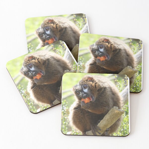 Item preview, Red Bellied Lemur designed and sold by aquabella.