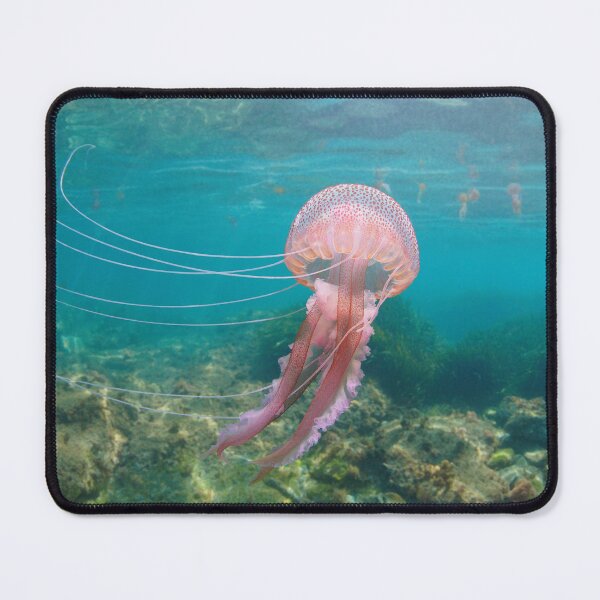 Item preview, Beautiful jellyfish underwater Pelagia noctiluca designed and sold by Seaphotoart.