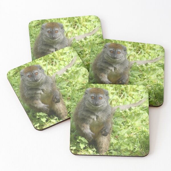 Item preview, Gentle Lemur designed and sold by aquabella.