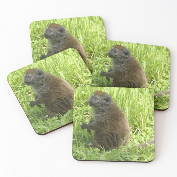 Item preview, Gentle Lemur designed and sold by aquabella.