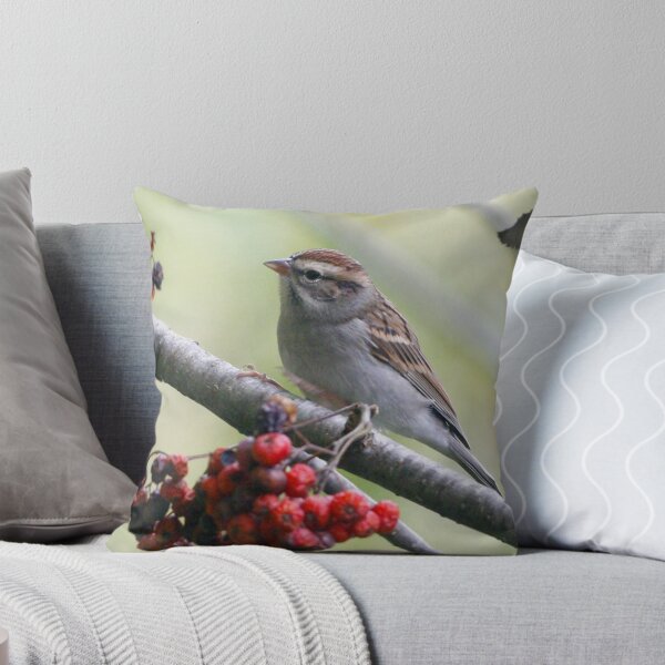 Item preview, Chipping sparrow designed and sold by Enola Gay Wagner.