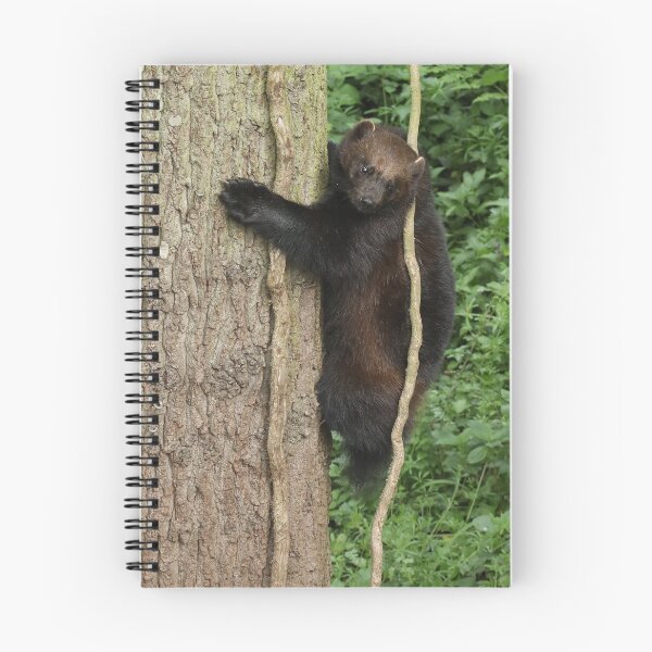 Item preview, Wolverine designed and sold by aquabella.