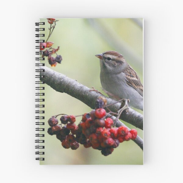 Item preview, Chipping sparrow designed and sold by Enola Gay Wagner.