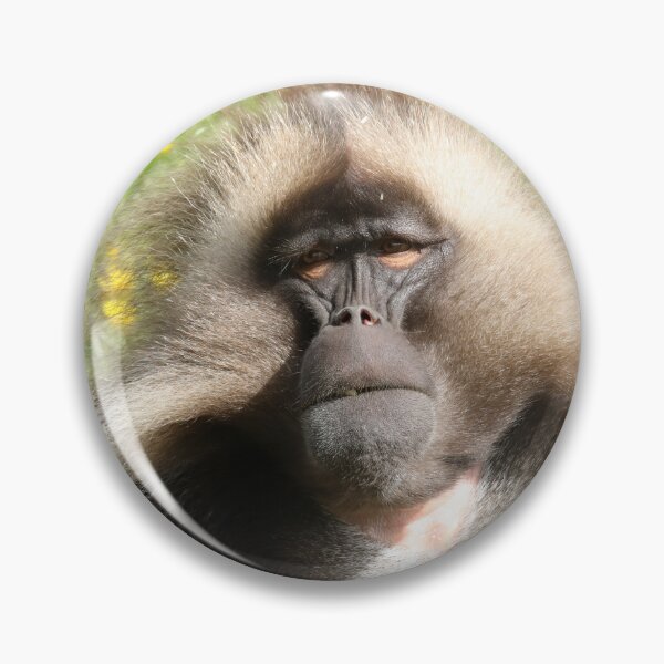 Item preview, Gelada designed and sold by aquabella.