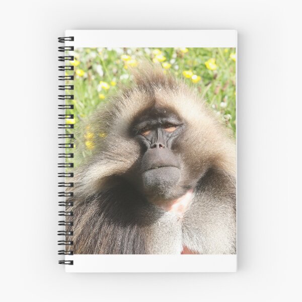 Item preview, Gelada designed and sold by aquabella.
