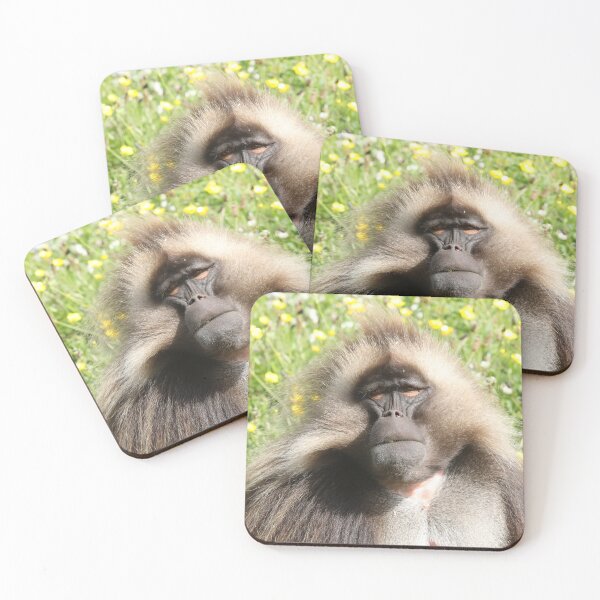 Item preview, Gelada designed and sold by aquabella.