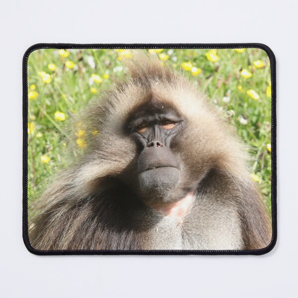 Item preview, Gelada designed and sold by aquabella.