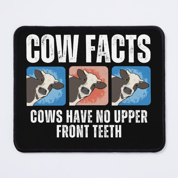 Item preview, Funny Facts about Farm Cows Cows have no upper front teeth designed and sold by FarmsteadAcers.