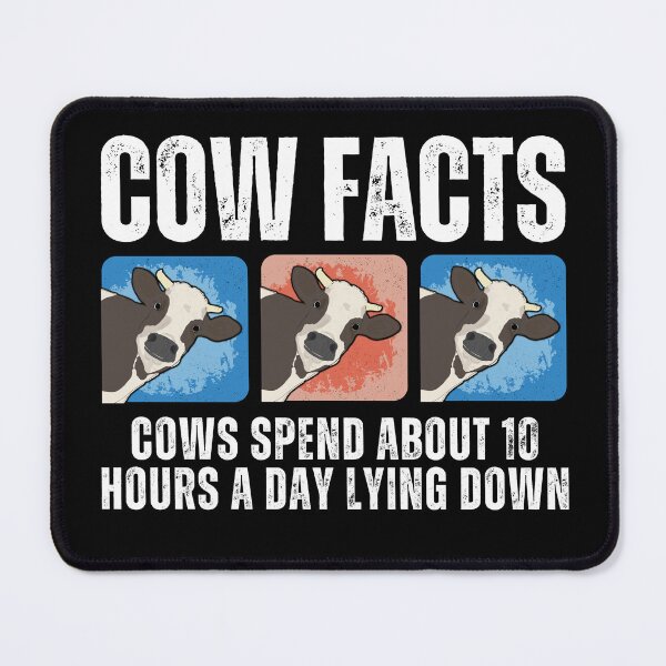 Item preview, Fun Facts about Farm cows lying down in their pasture designed and sold by FarmsteadAcers.