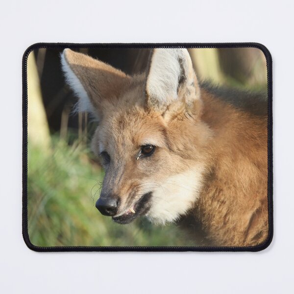 Item preview, Maned Wolf designed and sold by aquabella.