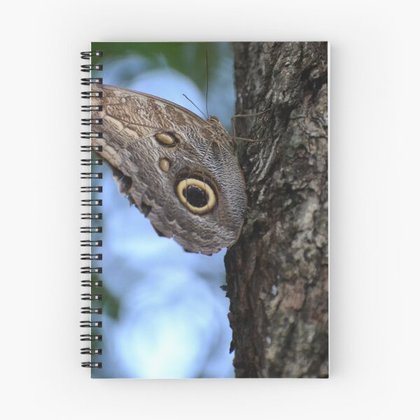 Item preview, Large Owl Butterfly designed and sold by Sauropod8.