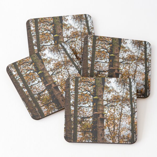 Item preview, Autumn trees in the forest - Clumber Park designed and sold by chiaravisuals.