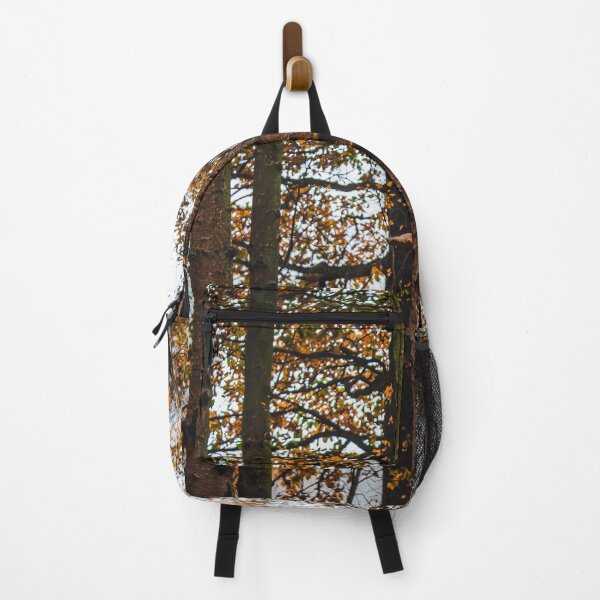 Item preview, Autumn trees in the forest - Clumber Park designed and sold by chiaravisuals.