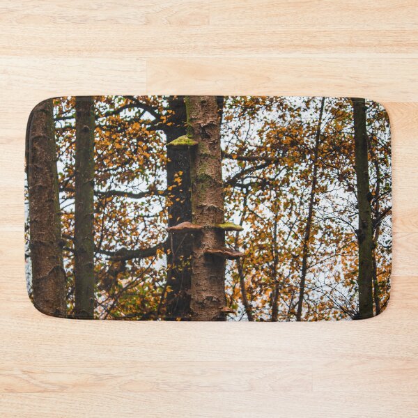 Item preview, Autumn trees in the forest - Clumber Park designed and sold by chiaravisuals.