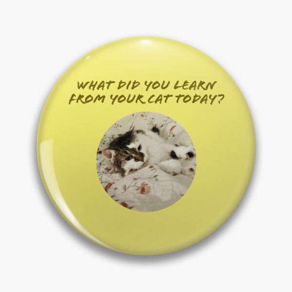 Item preview, What did you learn from your cat today? designed and sold by TechLaughs.