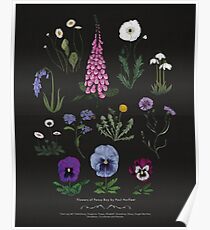 Flowers of Pansy Boy - Minimal Poster