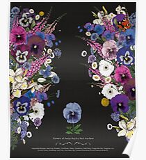 Blumen von Pansy Boy - unmöglicher Blumenstrauß Poster