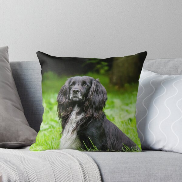 Item preview, Cocker Spaniel designed and sold by Smiffy63.