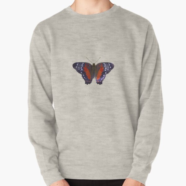 Anartia amathea butterfly Pullover Sweatshirt