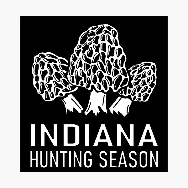 Indiana Mushroom Hunting Season Photographic Print
