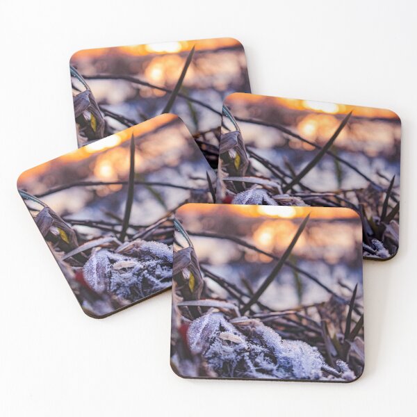 Item preview, Beautiful frozen leaves on the surface of an icy lake in Scotland designed and sold by chiaravisuals.