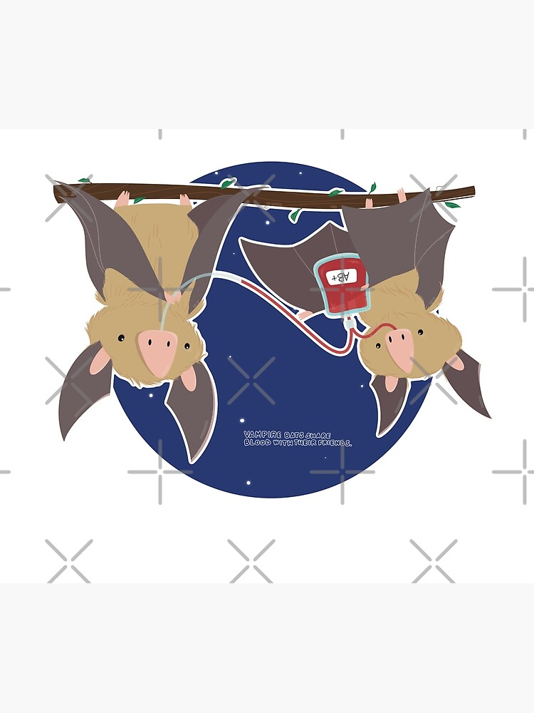 "animals fun facts bat" Poster for Sale by clemsarts | Redbubble