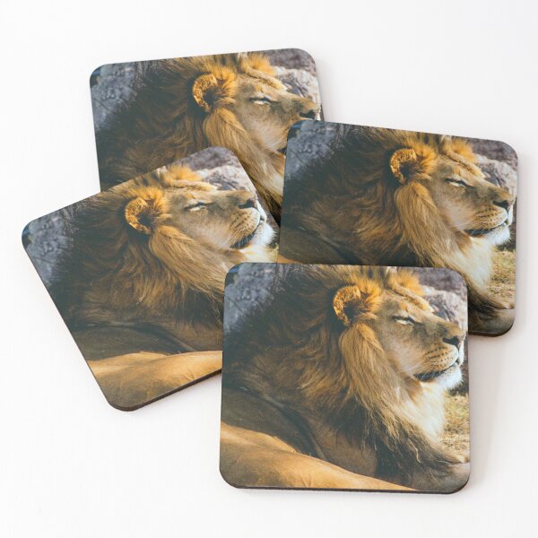 Item preview, Lion lifting his face to the warmth of the sun. designed and sold by claireseyeview.