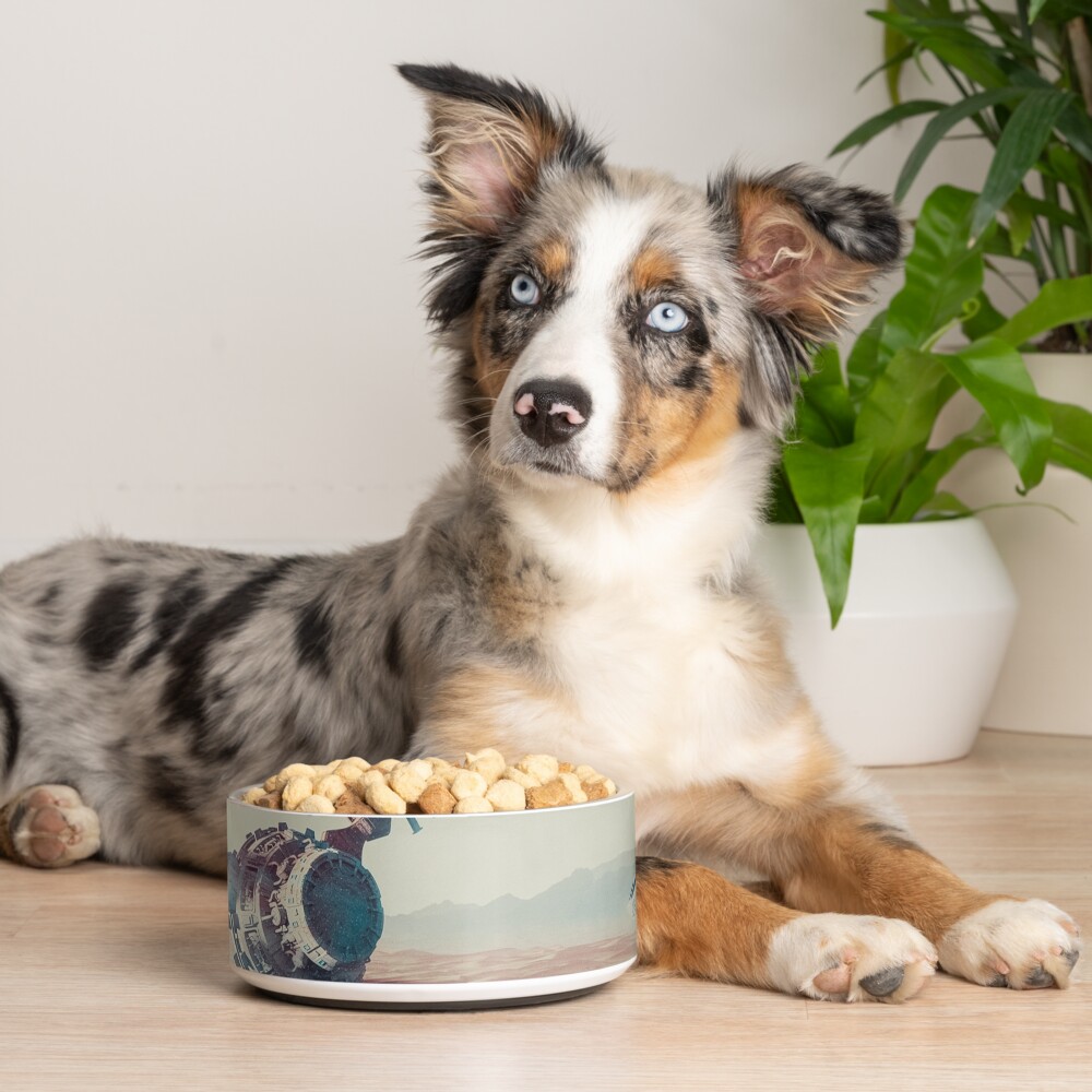 Item preview, Pet Bowl designed and sold by hotamr.