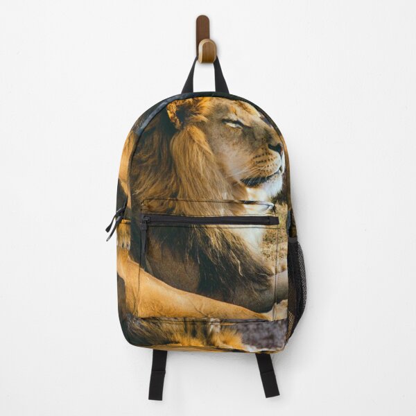 Item preview, Lion lifting his face to the warmth of the sun. designed and sold by claireseyeview.