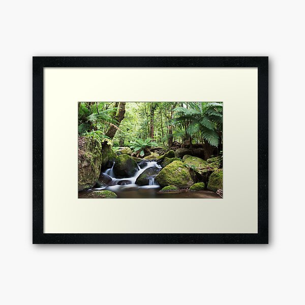 Beeches waterfall, Marysville Framed Art Print