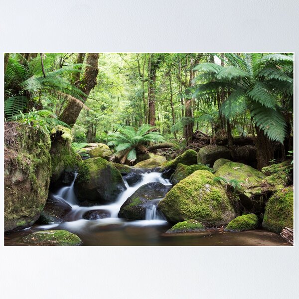 Item preview, Beeches waterfall, Marysville designed and sold by Vicki Moritz.