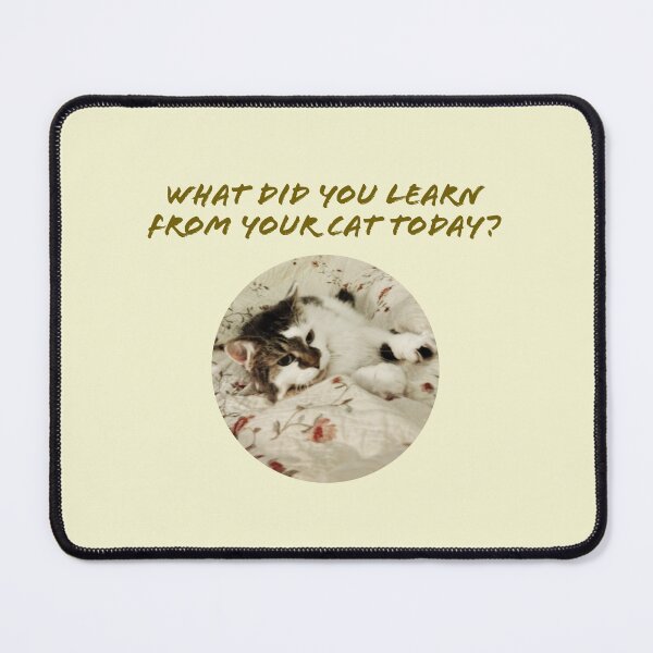 Item preview, What did you learn from your cat today? designed and sold by TechLaughs.