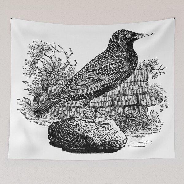 Item preview, Victorian Starling designed and sold by Hoorahville.