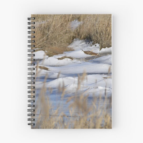 Item preview, Frozen Pond designed and sold by Tonia Delozier's Photography .