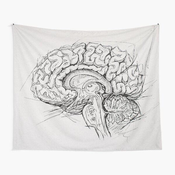 Item preview, Brain designed and sold by Kissart.
