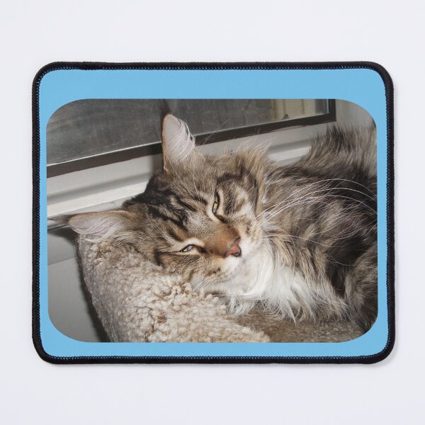 Item preview, The Tabby Maine Coon Cat Is Thinking About His Next Adventure designed and sold by TechLaughs.