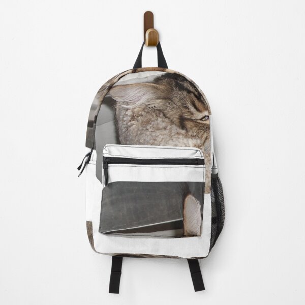 Item preview, The Tabby Maine Coon Cat Is Thinking About His Next Adventure designed and sold by TechLaughs.