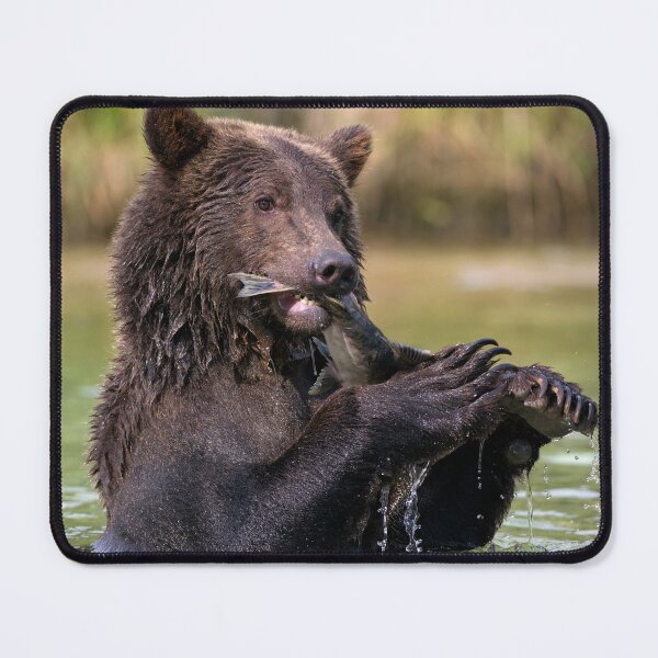 Item preview,  Grizzly Bear canvas,Grizzly Bear,animal, animals,Grizzly Bear wall art,Grizzly Bear artwork,Grizzly Bears,wild,Grizzly Bear art,Grizzly Bear painting designed and sold by eyesight4vision.