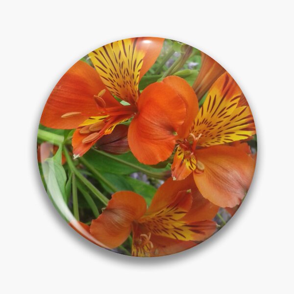 Item preview, Beautiful Flowers (Alstroemeria aurea) designed and sold by SandersSP-Merch.