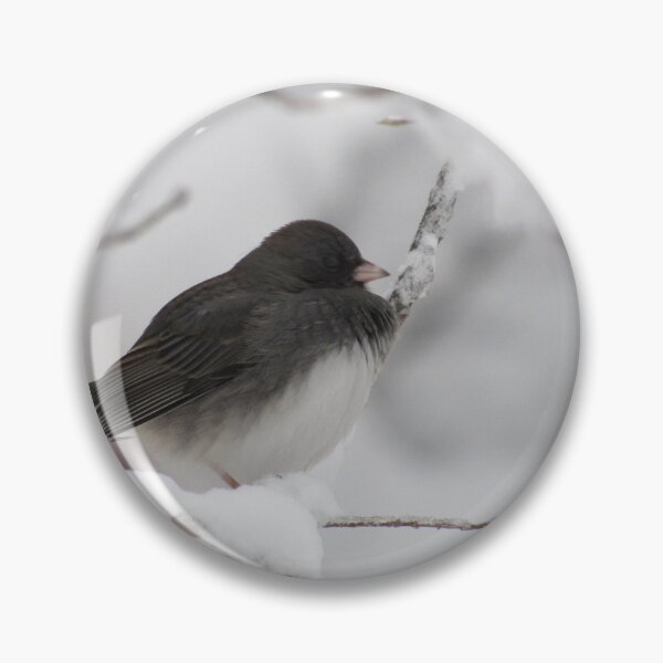 Item preview, Dark eyed Junco designed and sold by Tonia Delozier's Photography .