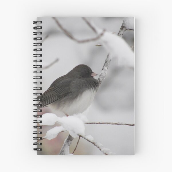 Item preview, Dark eyed Junco designed and sold by Tonia Delozier's Photography .
