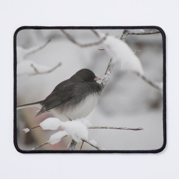 Item preview, Dark eyed Junco designed and sold by Tonia Delozier's Photography .