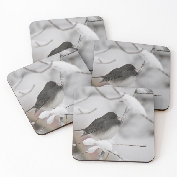 Item preview, Dark eyed Junco designed and sold by Tonia Delozier's Photography .