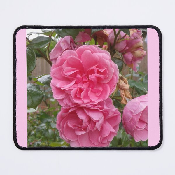 Item preview, Pink Roses designed and sold by SandersSP-Merch.