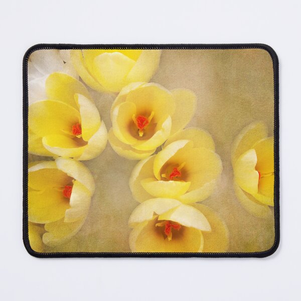 Item preview, You Light Up My Life designed and sold by Kathilee.