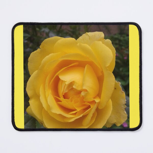 Item preview, Yellow Rose designed and sold by SandersSP-Merch.