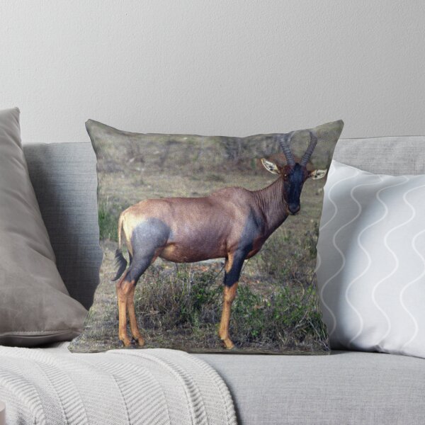 Item preview, Topi Antelope  (Damaliscus korrigum) - Kenya designed and sold by Bev Pascoe.
